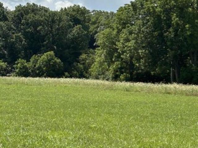 Land for sale in Cynthiana, Kentucky