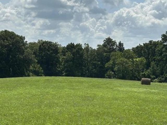 Land for sale in Cynthiana, Kentucky
