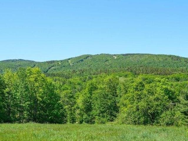 Land for sale in Ludlow, Vermont