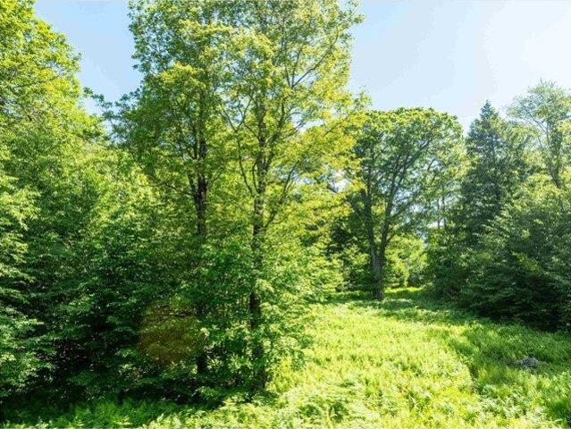 Land for sale in Ludlow, Windsor County
