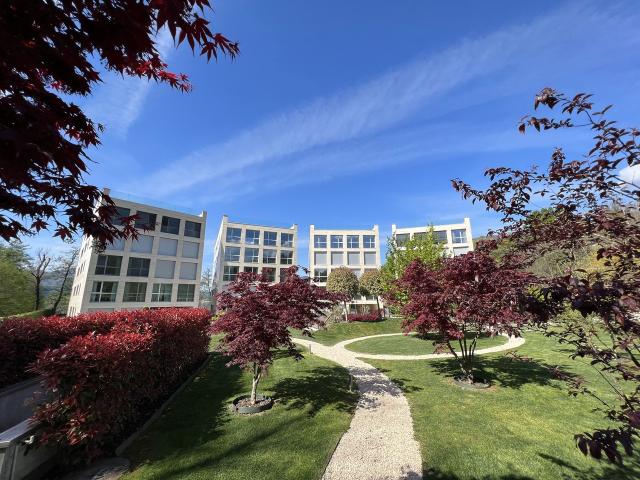 Wohnung kaufen in Muzzano, Tessin