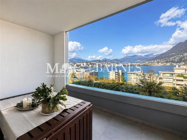 Wohnung kaufen in Paradiso, Tessin