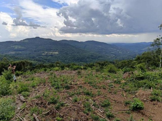 Sítio e chácara venda em Condomínio José Bonifácio, São Francisco de Paula