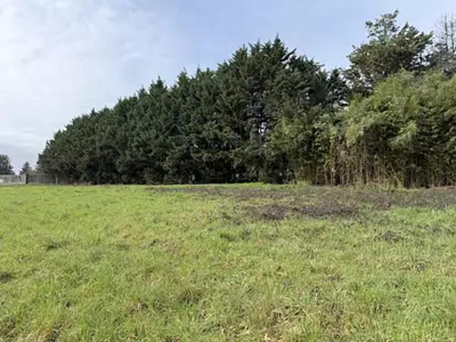 Terrain vente à Libourne, Lugon-et-l'ile-du-carnay