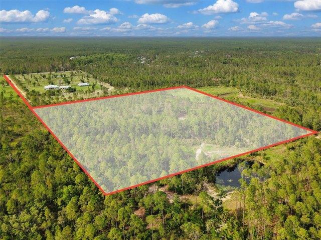 Land for sale in Steinhatchee, Florida