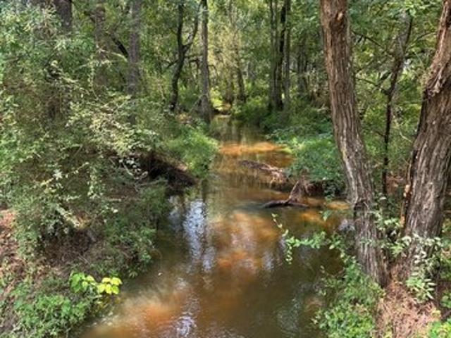 Land for sale in Turner, Georgia