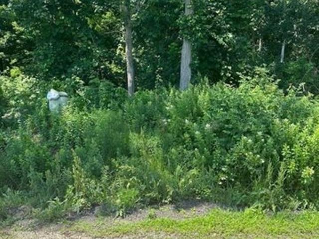Land for sale in Plaistow Land for sale in Plaistow