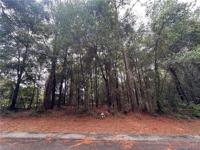 Land for sale in Mobile County Commission District 1, Saraland