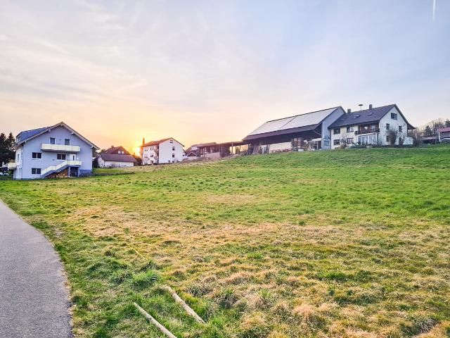Landwirtschaft kaufen in Säckingen, Bad Säckingen