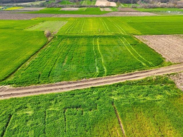 Lüleburgaz, Kirklareli içerisinde satılık Arsa