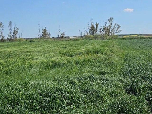 Lüleburgaz, Kirklareli içerisinde satılık Arsa
