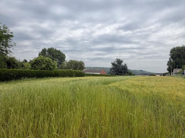 Terrain vente à Saint-Omer, Lumbres