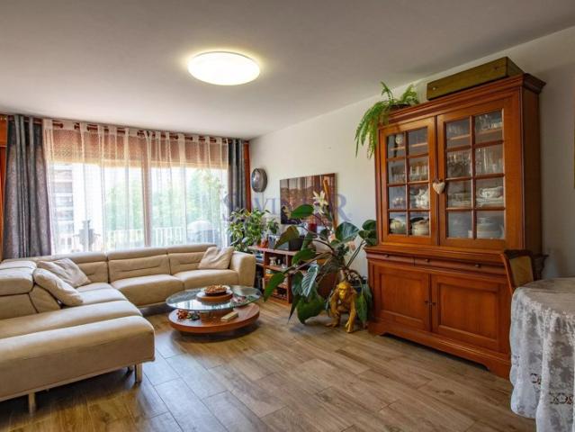 Appartement vente à Annecy