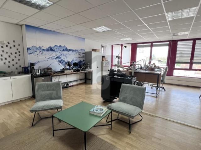 Büro mieten in Carouge (GE)