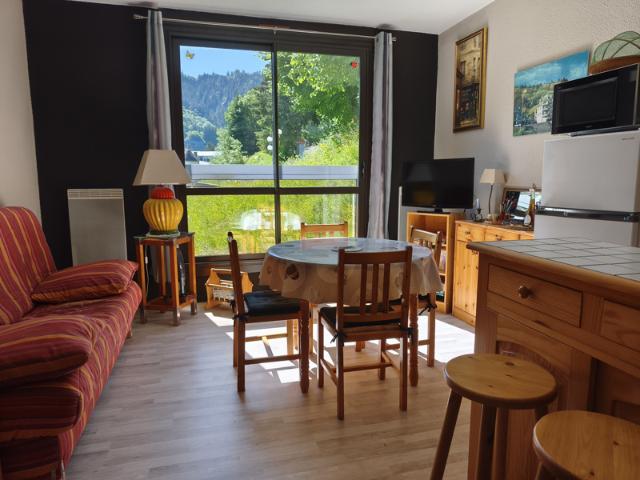 Appartement vente à Issoire, Mont-dore