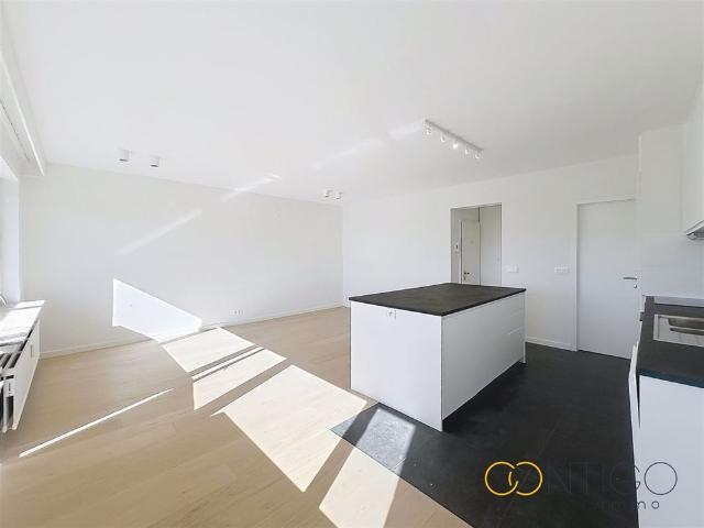 Kot location à Sint-pieters-woluwe, Bruxelles