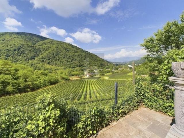 Einfamilienhaus kaufen in Biogno-Beride, Tessin