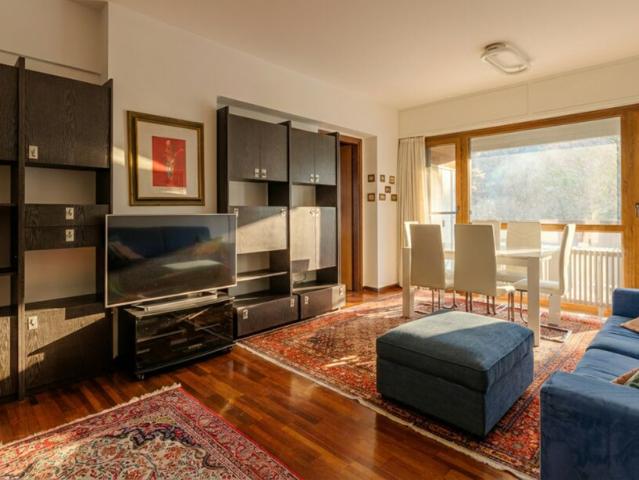 Wohnung kaufen in Aldesago, Tessin