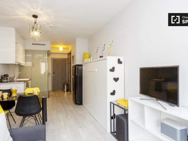 Estudio en alquiler en Madrid, Recoletos