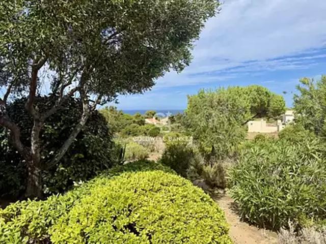 Appartement vente à Calvi, Lumio