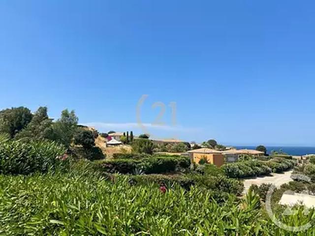 Appartement vente à Calvi, Lumio