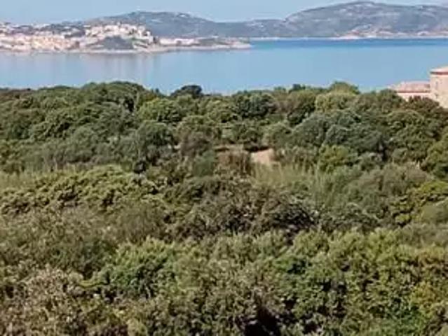 Appartement vente à Calvi, Lumio