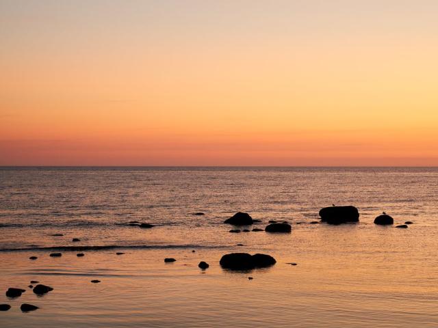 Stuga hyra i Visby