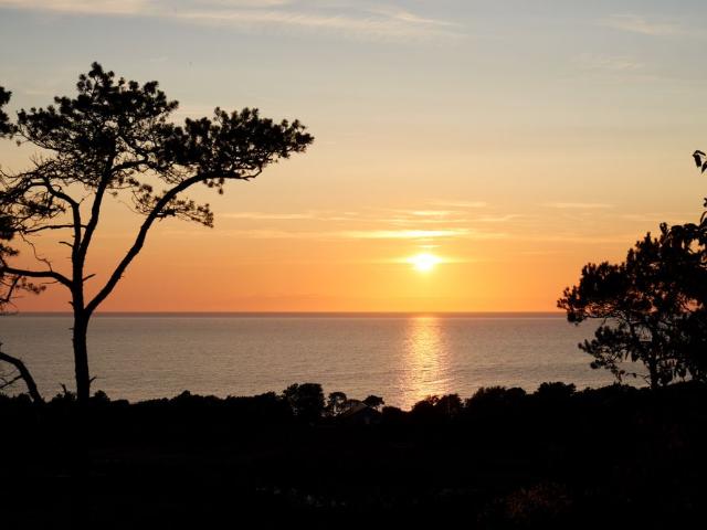 Hus hyra i Visby, Gotland