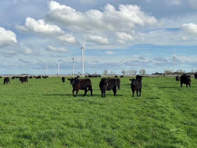Cottage for sale in Kolora, Victoria