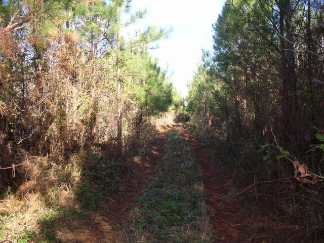 Land for sale in Warrenton, North Carolina