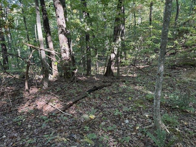 Land for sale in Parrottsville, East Tennessee