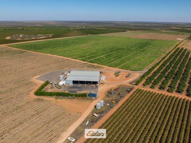 Cottage for sale in Wentworth, New South Wales