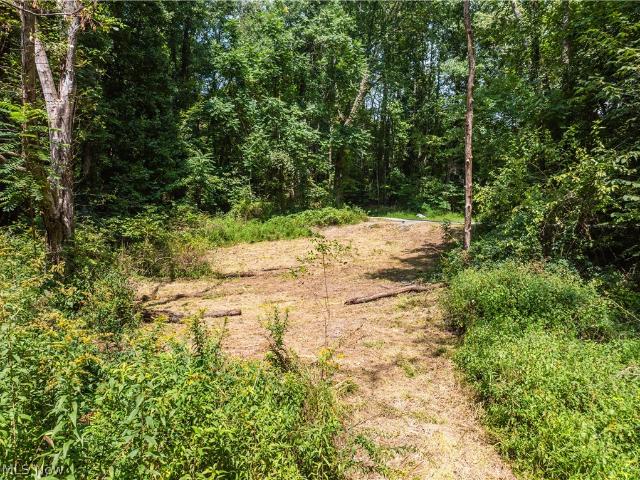 Land for sale in Scio, Ohio