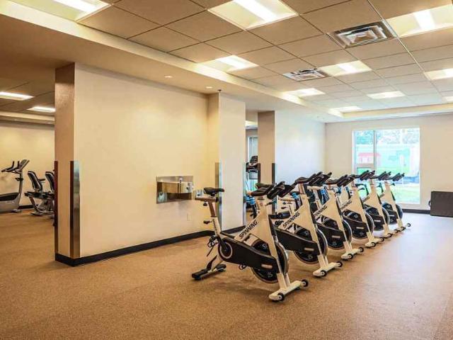 Apartment for rent in Capital, Ottawa