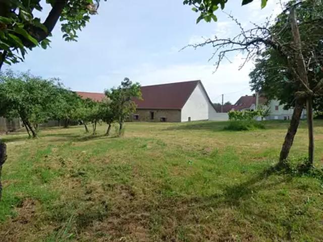 Terrain vente à Lupstein, Collectivité européenne d'Alsace