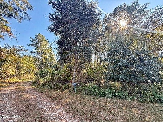 Land for sale in Sneads, Florida