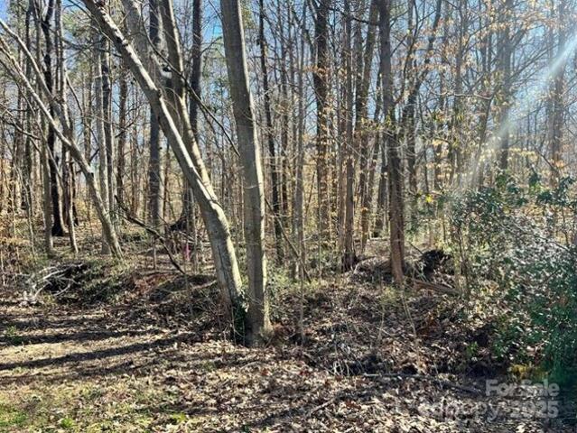 Land for sale in Fort Mill