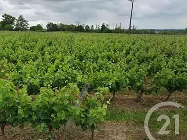 Maison vente à Libourne, Lussac
