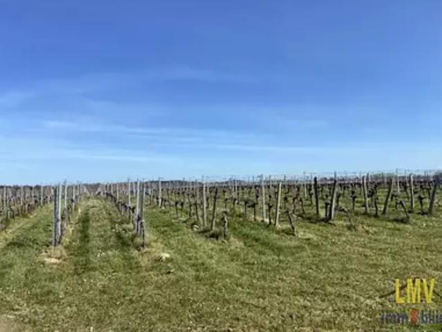 Terrain vente à Libourne, Lussac
