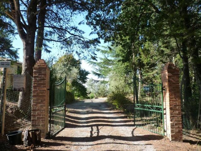 Rustico in vendita a Asciano, Siena