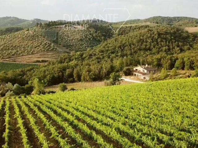 Rustico in vendita a Castelnuovo Berardenga, Toscana