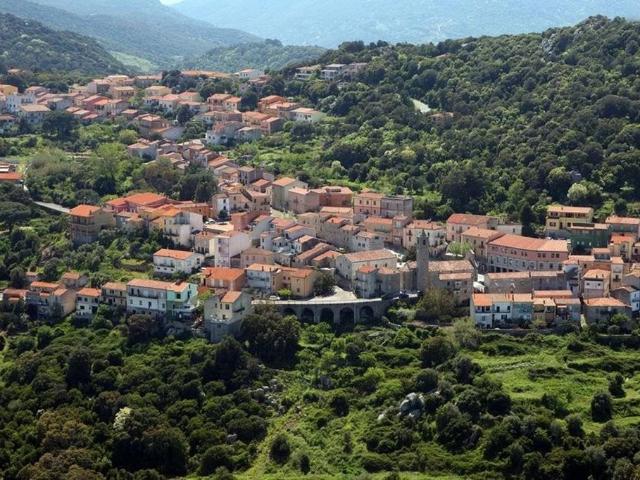 Rustico in vendita a Luogosanto, Sardigna/Sardegna