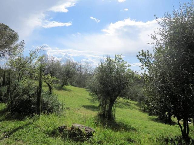 Rustico in vendita a Civitella Paganico, Civitella Marittima