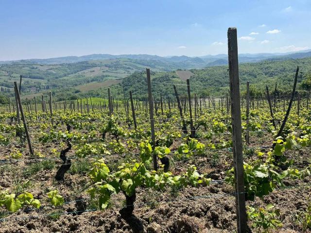 Rustico in vendita a Montalto Pavese, Lombardia