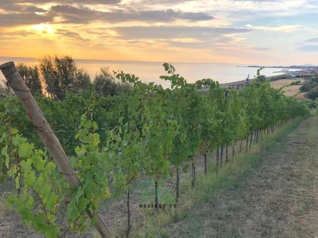 Rustico in vendita a Villa Giulia, Marche