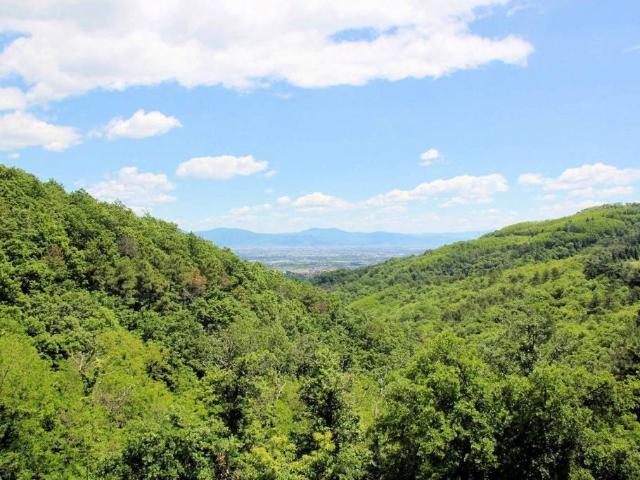 Rustico in vendita a Pozzarello, Montevettolini