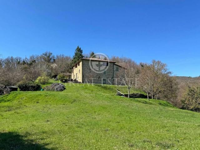 Rustico in vendita a Monte Santa Maria Tiberina, Umbria