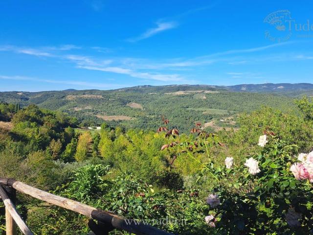 Rustico in vendita a Monte Castello Di Vibio, Umbria