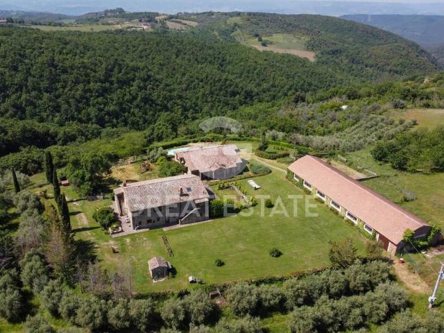 Rustico in vendita a San Venanzo, Umbria