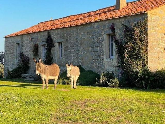Rustico in vendita a Palau, Sardigna/Sardegna